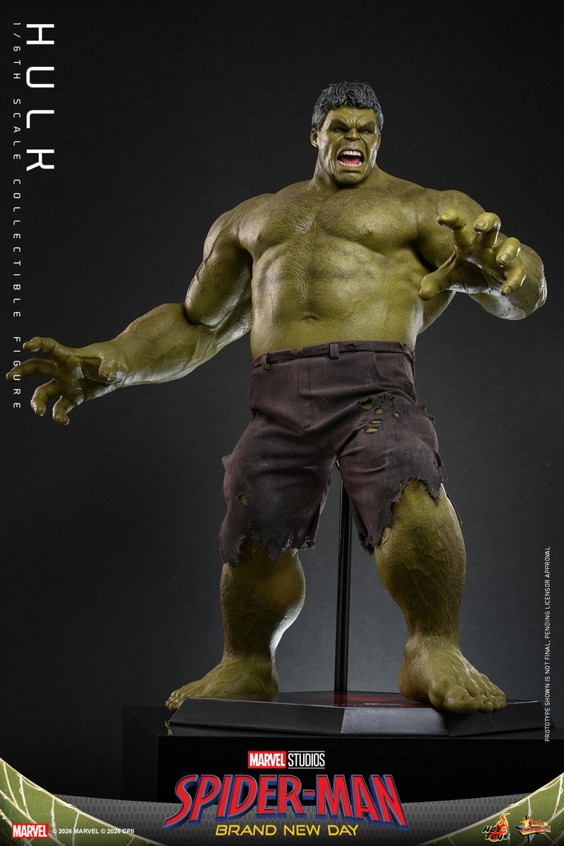 Preventa Figura HULK - Spider-Man: Brand New Day marca Hot Toys MMS905 escala 1/6