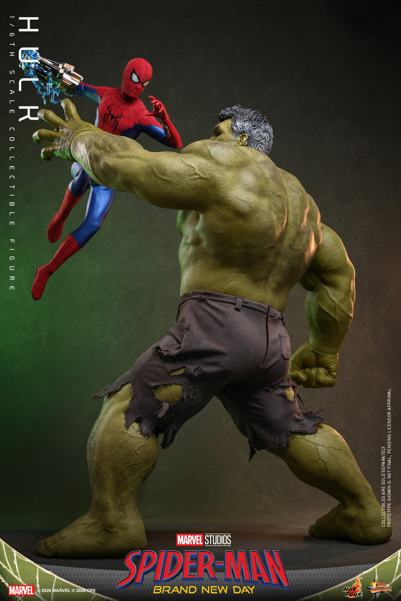 Preventa Figura HULK - Spider-Man: Brand New Day marca Hot Toys MMS905 escala 1/6