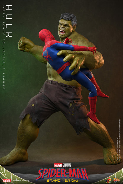 Preventa Figura HULK - Spider-Man: Brand New Day marca Hot Toys MMS905 escala 1/6