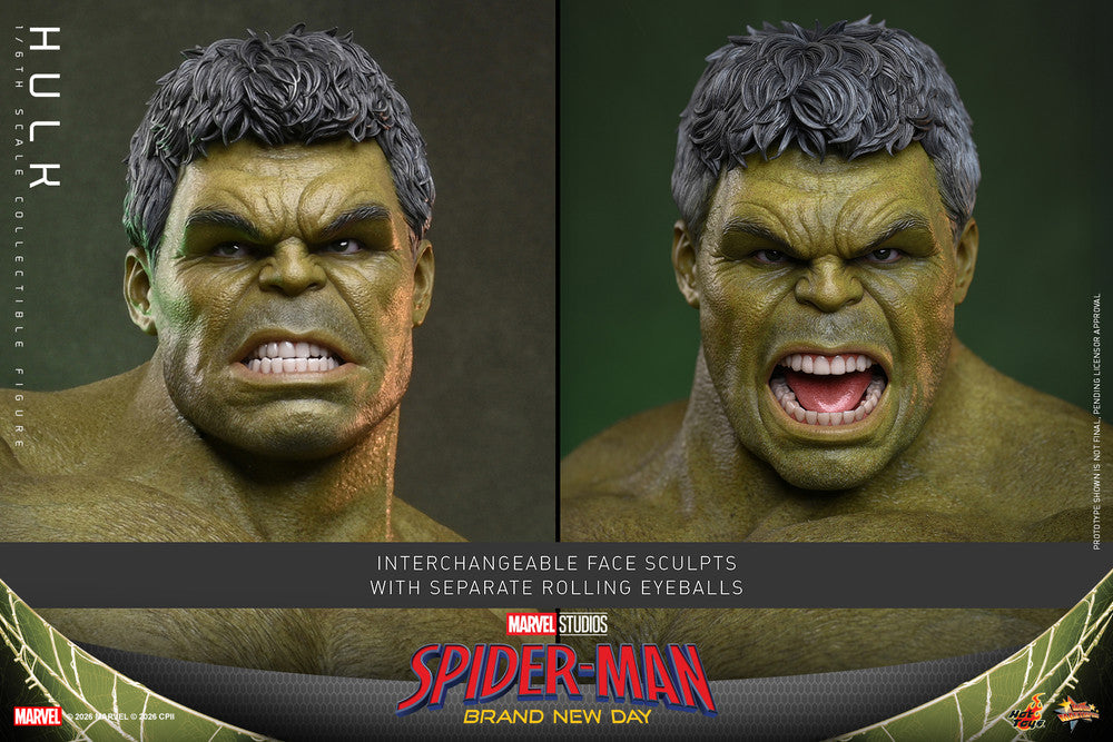 Preventa Figura HULK - Spider-Man: Brand New Day marca Hot Toys MMS905 escala 1/6