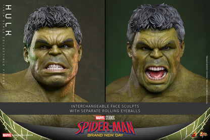 Preventa Figura HULK - Spider-Man: Brand New Day marca Hot Toys MMS905 escala 1/6