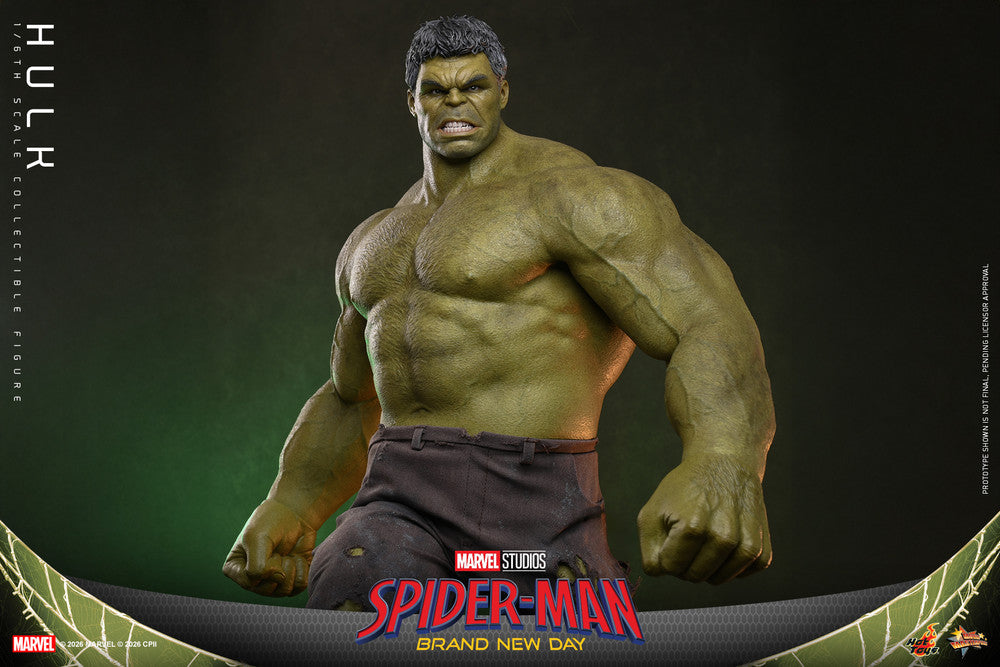 Preventa Figura HULK - Spider-Man: Brand New Day marca Hot Toys MMS905 escala 1/6