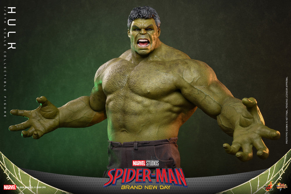 Preventa Figura HULK - Spider-Man: Brand New Day marca Hot Toys MMS905 escala 1/6