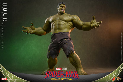 Preventa Figura HULK - Spider-Man: Brand New Day marca Hot Toys MMS905 escala 1/6