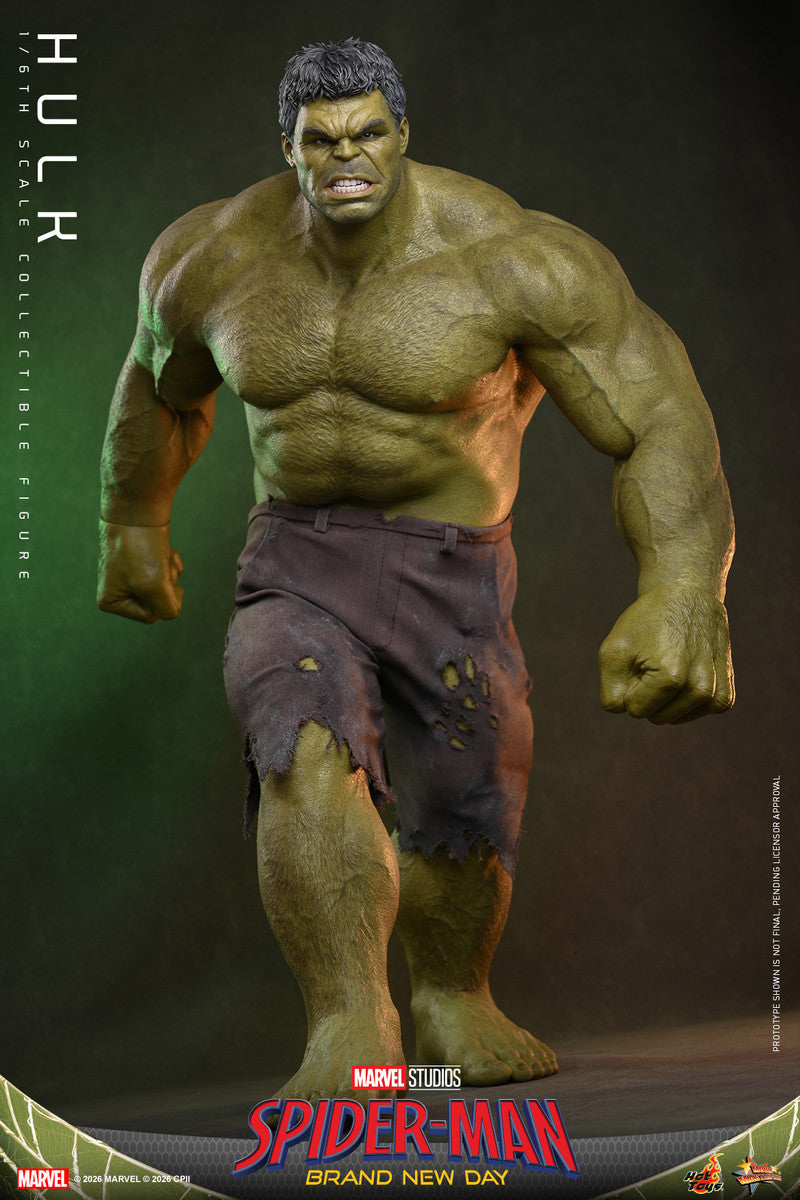 Preventa Figura HULK - Spider-Man: Brand New Day marca Hot Toys MMS905 escala 1/6