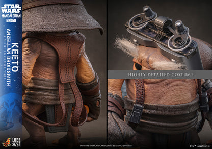 Pedido Figura Keeto (Anzellan Droidsmith) (Tamaño real) - Star Wars: The Mandalorian & Grogu marca Hot Toys LMS018 escala real 1/1
