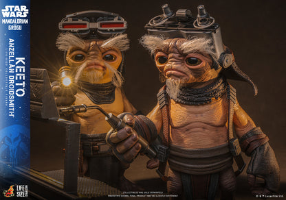 Pedido Figura Keeto (Anzellan Droidsmith) (Tamaño real) - Star Wars: The Mandalorian & Grogu marca Hot Toys LMS018 escala real 1/1
