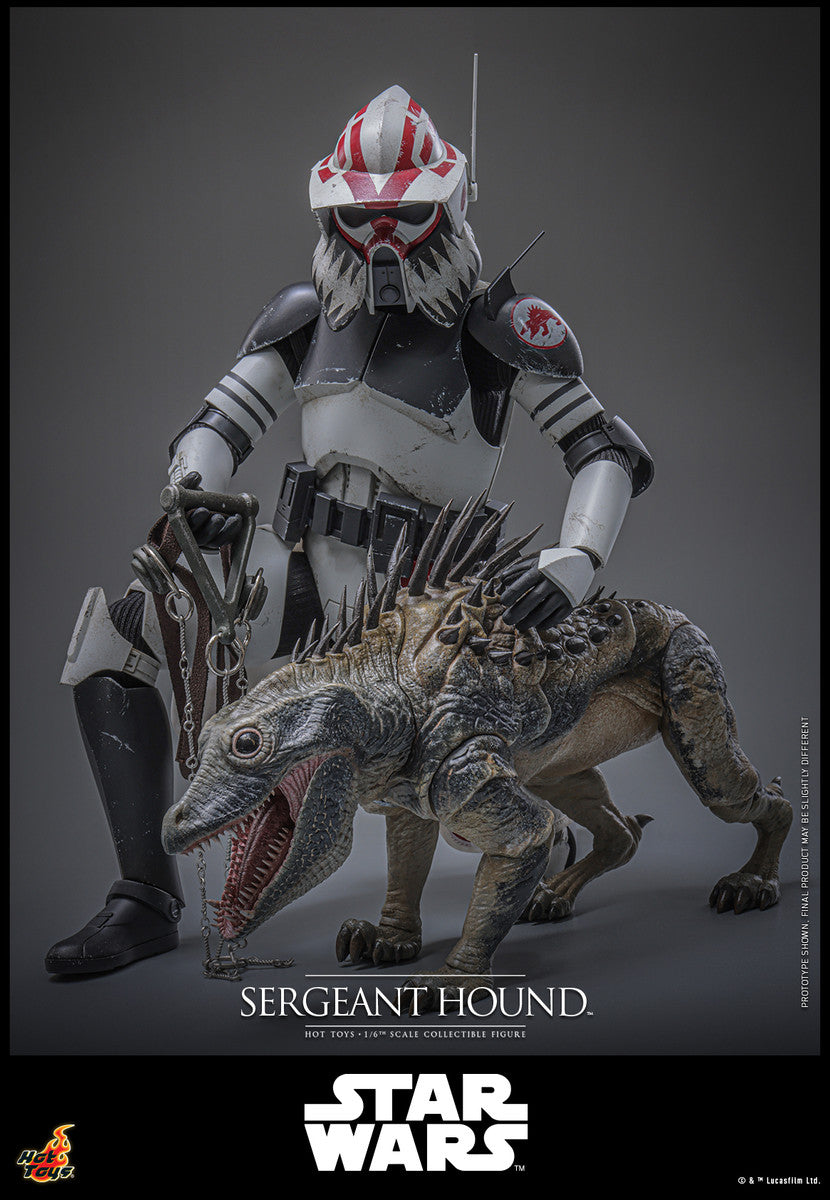 Preventa Figura Sergeant Hound - Star Wars: The Clone Wars marca Hot Toys TMS167 escala 1/6