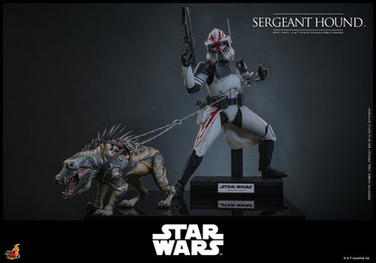 Preventa Figura Sergeant Hound - Star Wars: The Clone Wars marca Hot Toys TMS167 escala 1/6