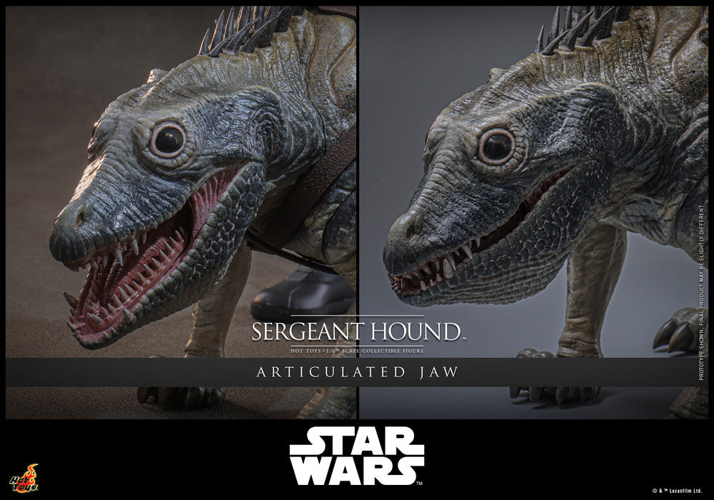 Preventa Figura Sergeant Hound - Star Wars: The Clone Wars marca Hot Toys TMS167 escala 1/6