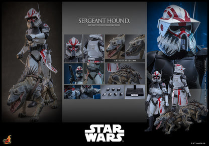 Preventa Figura Sergeant Hound - Star Wars: The Clone Wars marca Hot Toys TMS167 escala 1/6