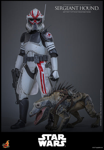 Preventa Figura Sergeant Hound - Star Wars: The Clone Wars marca Hot Toys TMS167 escala 1/6
