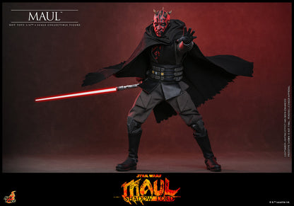 Preventa Figura MAUL - Star Wars: Maul: Shadow Lord marca Hot Toys TMS187 escala 1/6