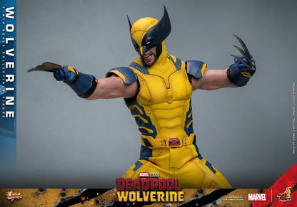 Preventa Figura Wolverine - Deadpool & Wolverine marca Hot Toys MMS753 escala 1/6