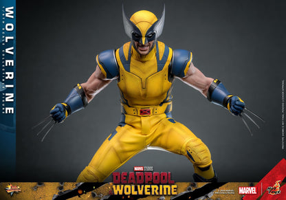 Preventa Figura Wolverine - Deadpool & Wolverine marca Hot Toys MMS753 escala 1/6