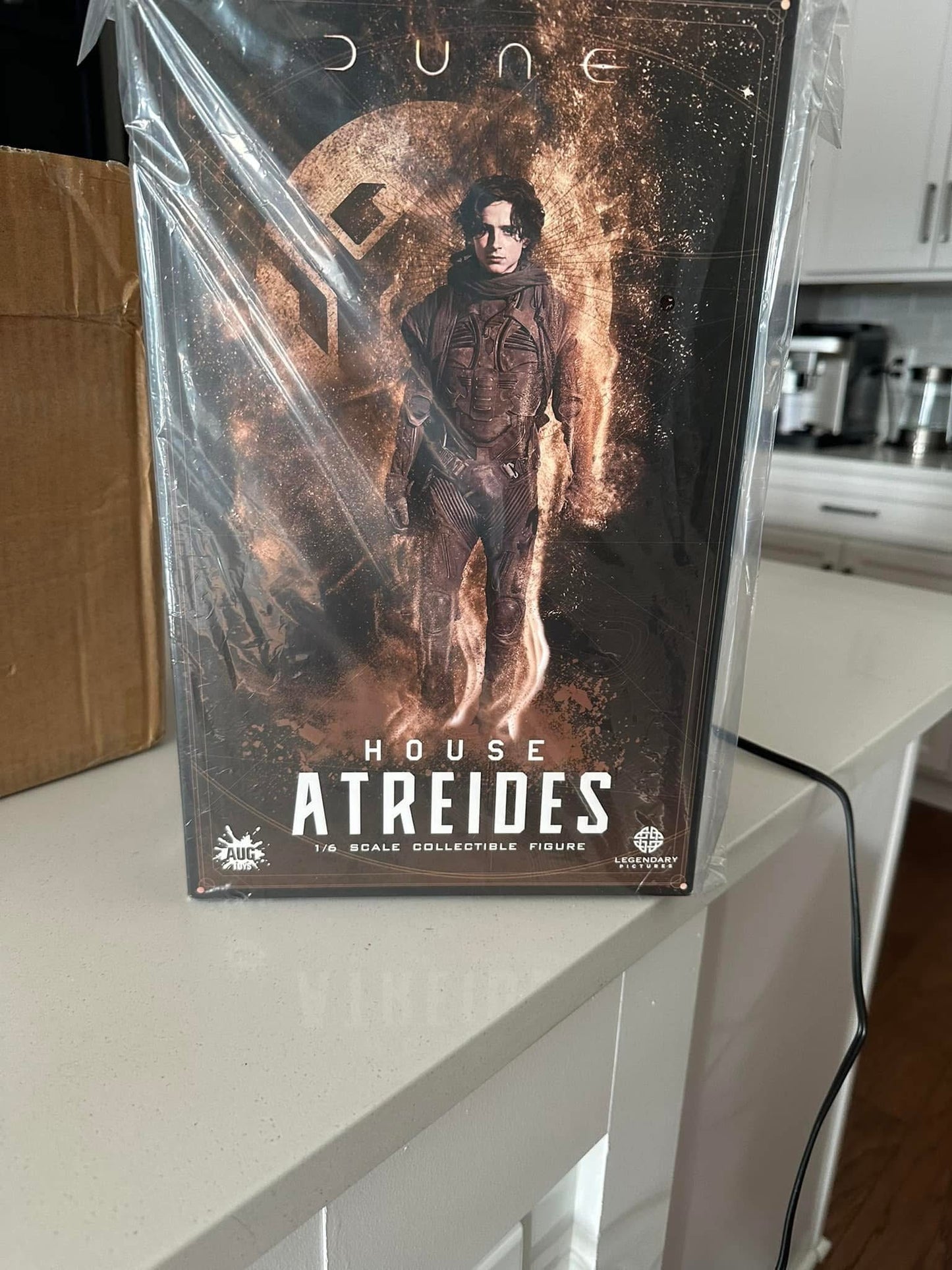 Pedido Figura Paul Atreides in Distillation Suit- Dune marca AUG Toys DL003 escala 1/6