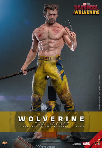 Preventa Figura Wolverine (TVA Jacket version) - Deadpool & Wolverine marca Hot Toys MMS756 escala 1/6