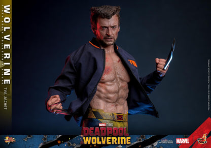 Preventa Figura Wolverine (TVA Jacket version) - Deadpool & Wolverine marca Hot Toys MMS756 escala 1/6