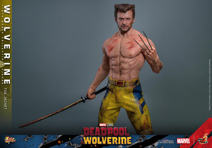 Preventa Figura Wolverine (TVA Jacket version) - Deadpool & Wolverine marca Hot Toys MMS756 escala 1/6