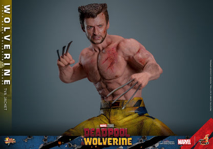 Preventa Figura Wolverine (TVA Jacket version) - Deadpool & Wolverine marca Hot Toys MMS756 escala 1/6