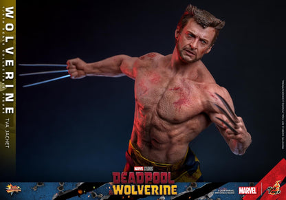 Preventa Figura Wolverine (TVA Jacket version) - Deadpool & Wolverine marca Hot Toys MMS756 escala 1/6