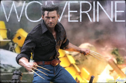 Pedido Figura Wolverine (1973 Version) - X-Men: Days of Future Past marca Hot Toys MMS659 escala 1/6