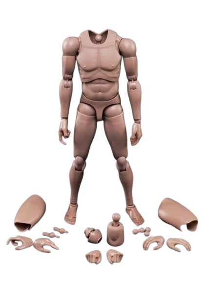 [PEDIDO] Cuerpo articulado caucásico (narrow shoulder) marca MX02 2.0 escala 1/6