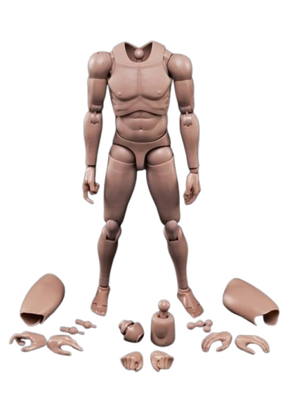 [PEDIDO] Cuerpo articulado caucásico (narrow shoulder) marca MX02 2.0 escala 1/6