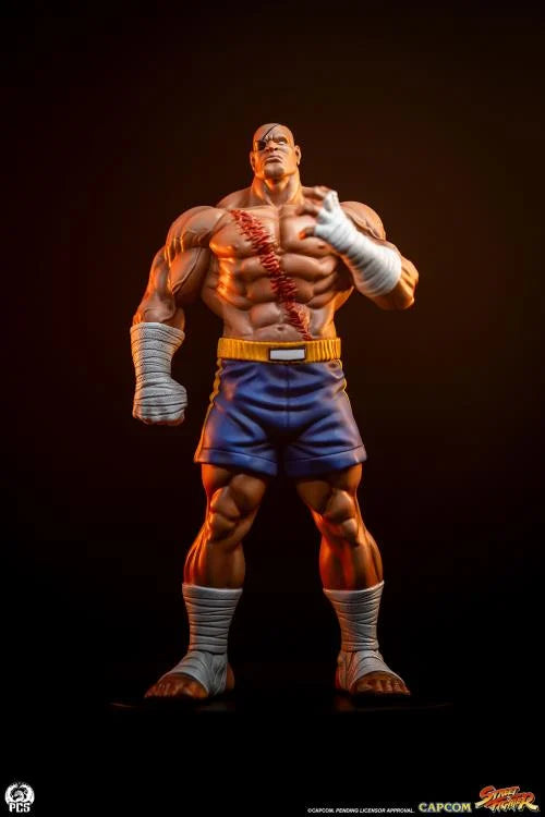Preventa Set Estatuas Sagat y Juli - Street Jam - Street Fighter marca PCS Collectibles escala 1/10
