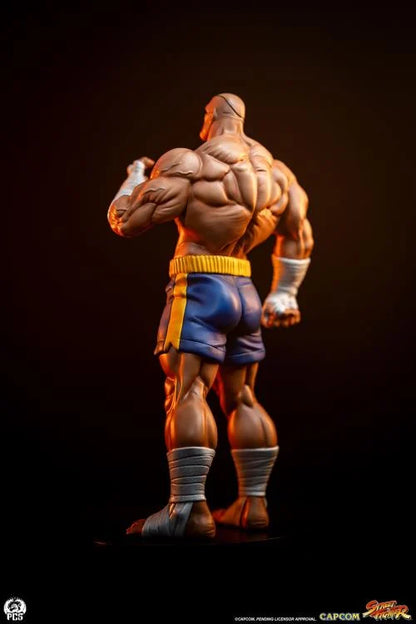 Preventa Set Estatuas Sagat y Juli - Street Jam - Street Fighter marca PCS Collectibles escala 1/10