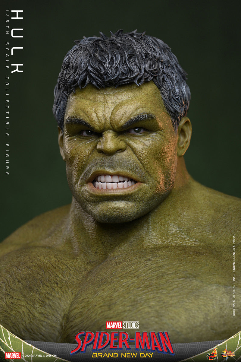 Preventa Figura HULK - Spider-Man: Brand New Day marca Hot Toys MMS905 escala 1/6