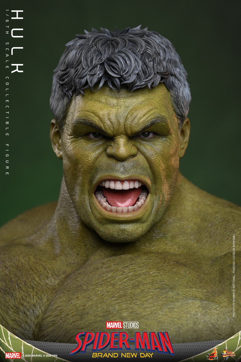 Preventa Figura HULK - Spider-Man: Brand New Day marca Hot Toys MMS905 escala 1/6