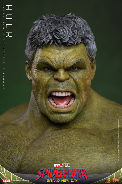 Preventa Figura HULK - Spider-Man: Brand New Day marca Hot Toys MMS905 escala 1/6