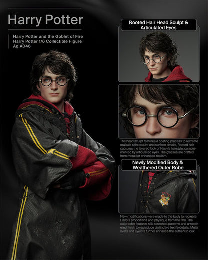 Preventa Figura HARRY POTTER - Harry Potter and the Goblet of Fire marca INART A046 Queen Studio escala 1/6