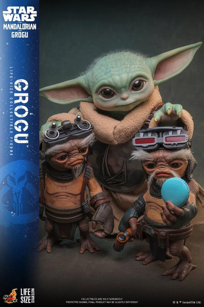 Preventa Figura GROGU (Tamaño real) - Star Wars: The Mandalorian & Grogu marca Hot Toys LMS016 escala real 1/1