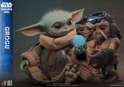 Preventa Figura GROGU (Tamaño real) - Star Wars: The Mandalorian & Grogu marca Hot Toys LMS016 escala real 1/1