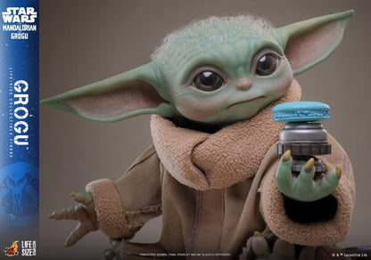 Preventa Figura GROGU (Tamaño real) - Star Wars: The Mandalorian & Grogu marca Hot Toys LMS016 escala real 1/1