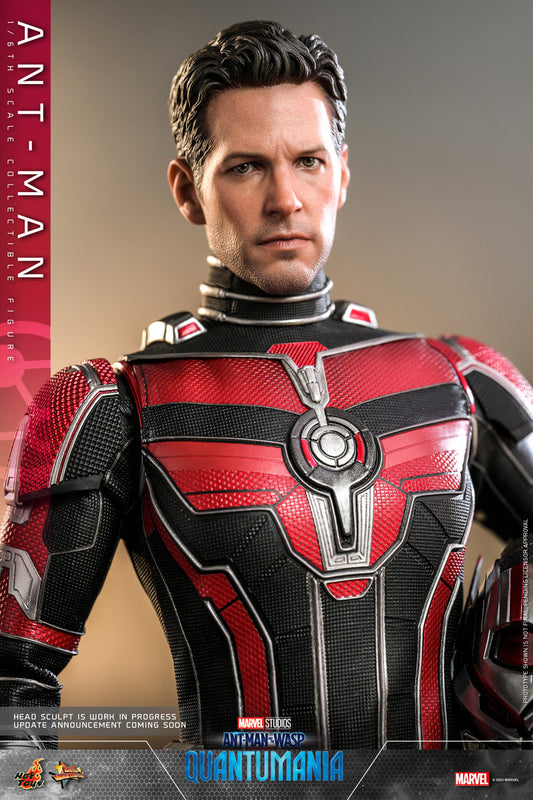 Preventa Figura Ant-Man - Ant-Man and the Wasp: Quantumania marca Hot Toys MMS690 escala 1/6