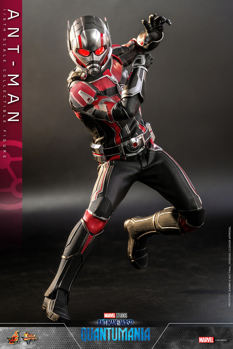 Preventa Figura Ant-Man - Ant-Man and the Wasp: Quantumania marca Hot Toys MMS690 escala 1/6