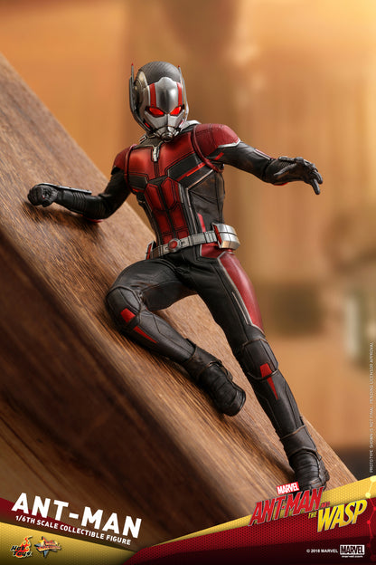 Pedido Figura Ant-Man - Ant-Man and the Wasp marca Hot Toys MMS497 escala 1/6