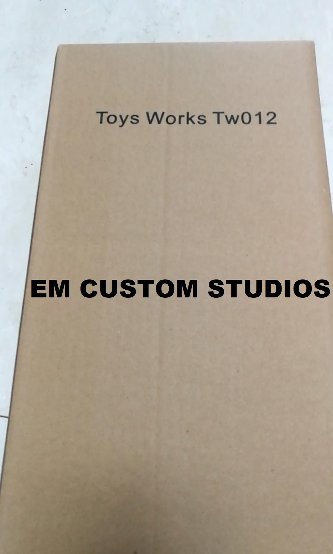Pedido Figura Guidance marca Toys Works TW012 escala 1/6