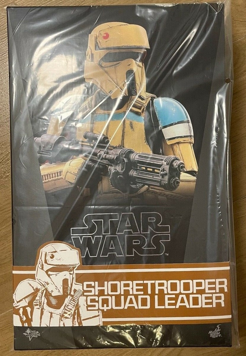 Hot Toys 1/6 shops Shoretrooper Squad Leader MMS592 Star Wars Complete With Art Box