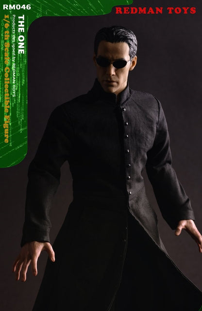 Pedido Figuras Cyber Killer Deluxe marca LongShanJinShu LS2019-05 y The One Hacker marca Redman RM046 escala 1/6