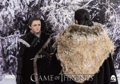 Pedido Figura Arya Stark - Game of Thrones (Season 8) marca Threezero 3Z0143 escala 1/6