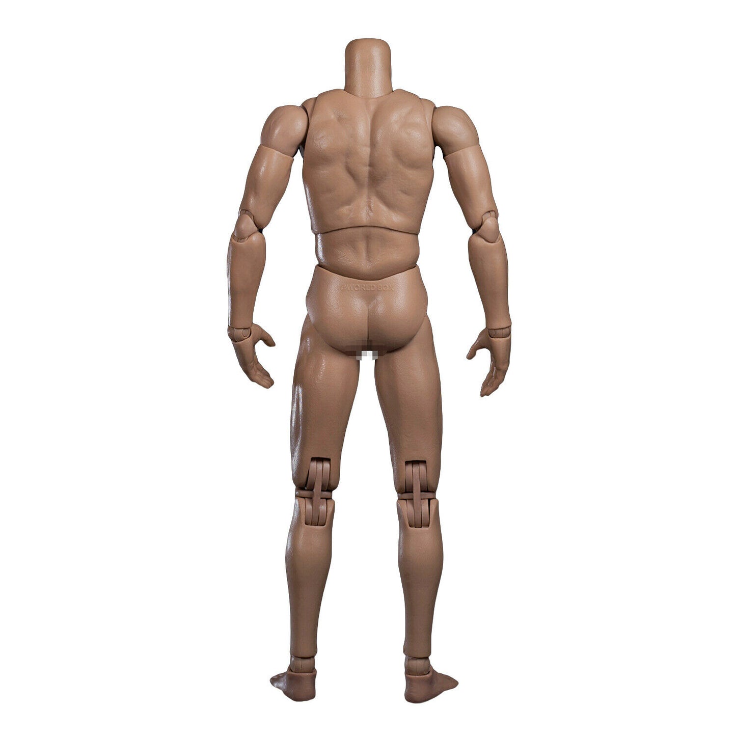 [PEDIDO] Cuerpo articulado masculino Universal marca Worldbox AT020 escala 1/6