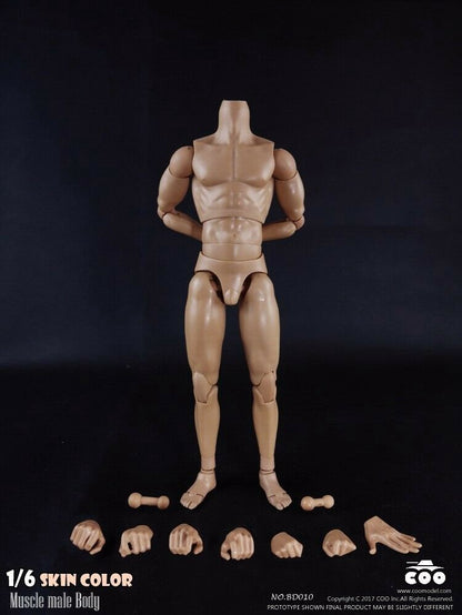 [PEDIDO] Cuerpo articulado masculino (2 versiones) marca Coo Model escala 1/6